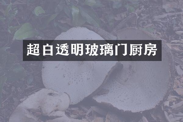 超白透明玻璃门厨房