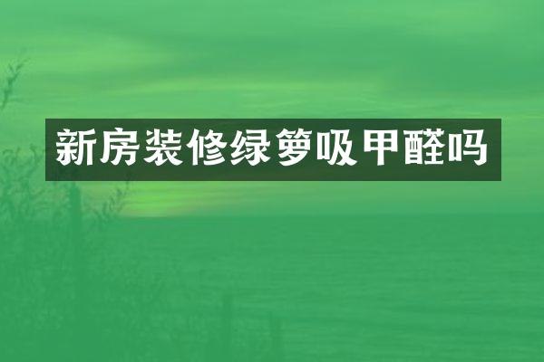 新房装修绿箩吸甲醛吗