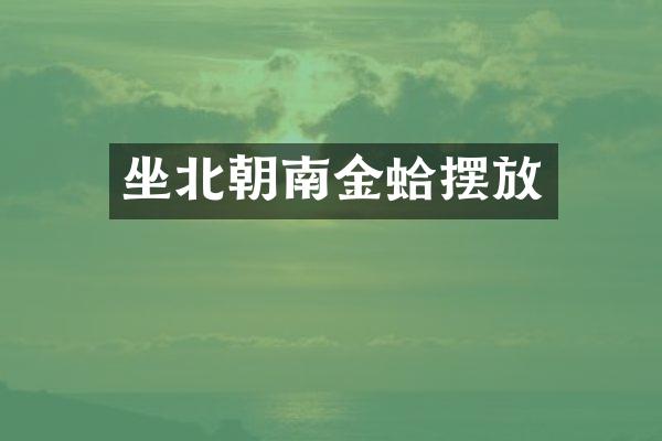 坐北朝南金蛤摆放