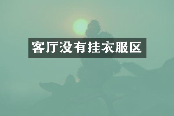 客厅没有挂衣服区