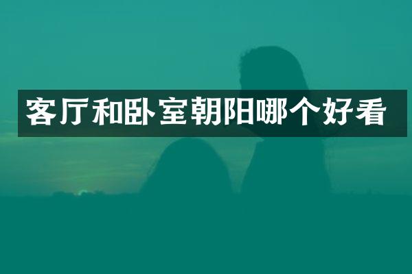 客厅和卧室朝阳哪个好看