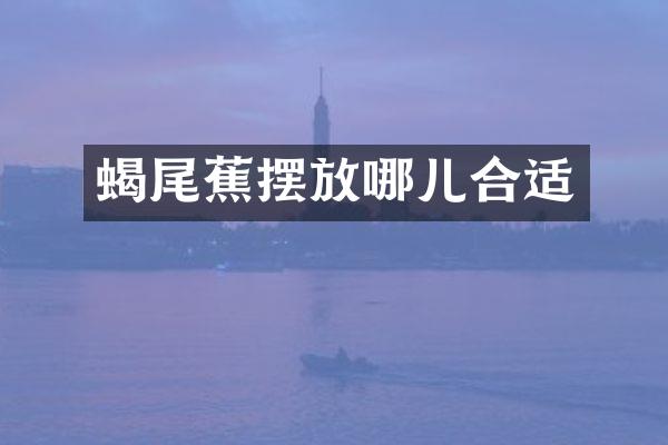 蝎尾蕉摆放哪儿合适