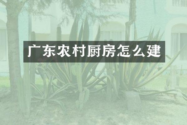 广东农村厨房怎么建