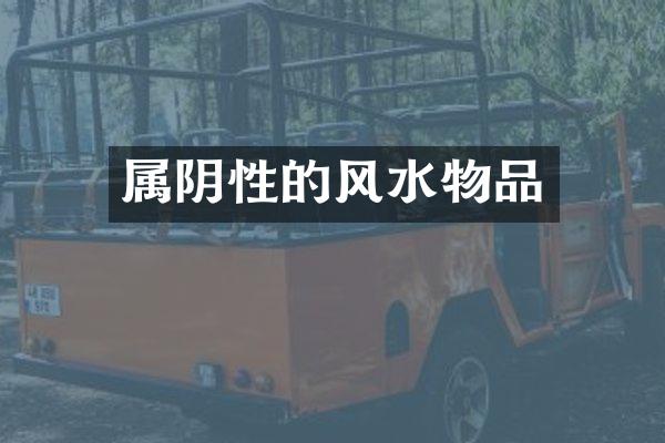 属阴性的风水物品