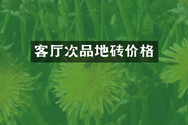客厅次品地砖价格