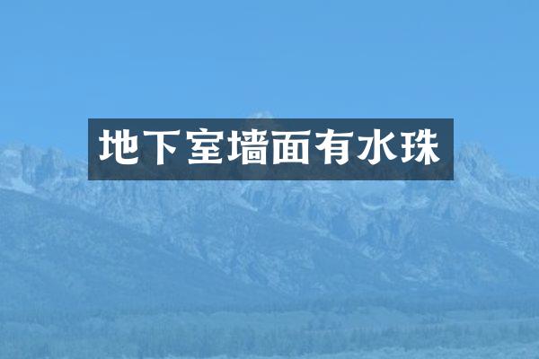 地下室墙面有水珠