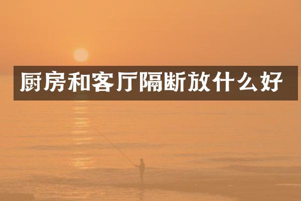 厨房和客厅隔断放什么好