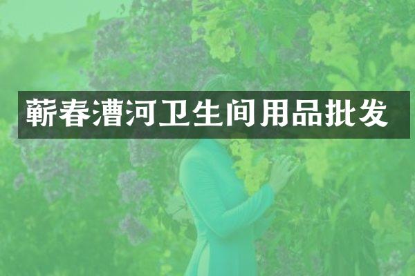蕲春漕河卫生间用品批发