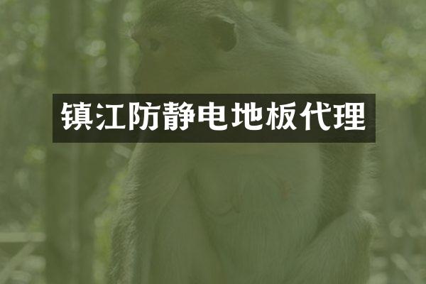 镇江防静电地板代理