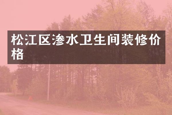 松江区渗水卫生间装修价格