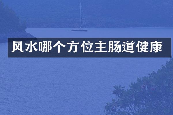 风水哪个方位主肠道健康