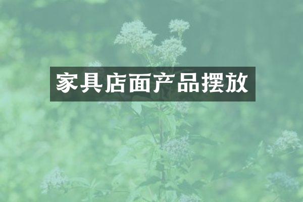 家具店面产品摆放