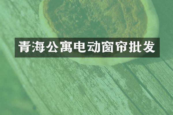 青海公寓电动窗帘批发