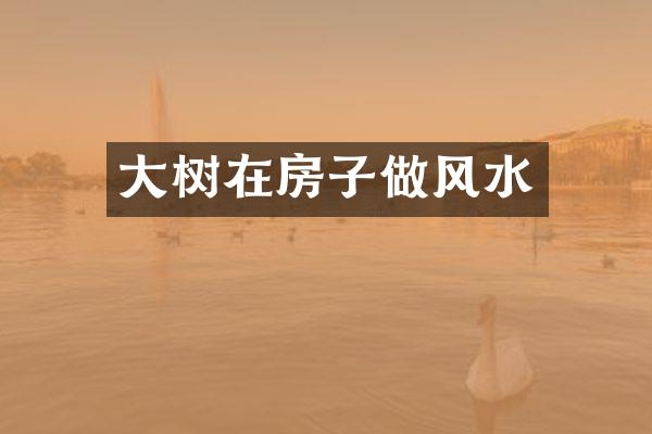 大树在房子做风水
