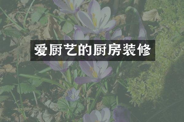 爱厨艺的厨房装修