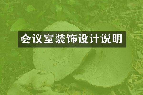 会议室装饰设计说明