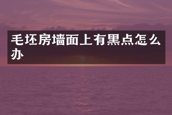 毛坯房墙面上有黑点怎么办