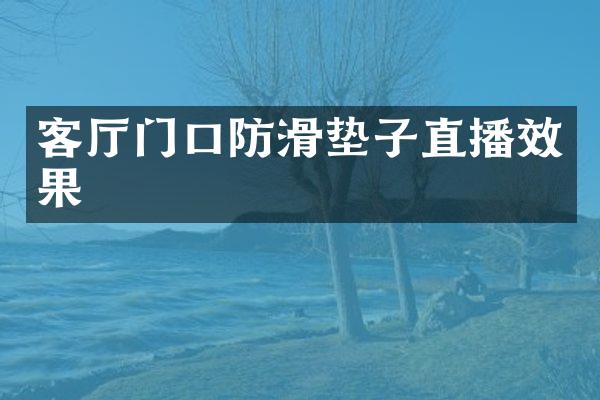 客厅门口防滑垫子直播效果