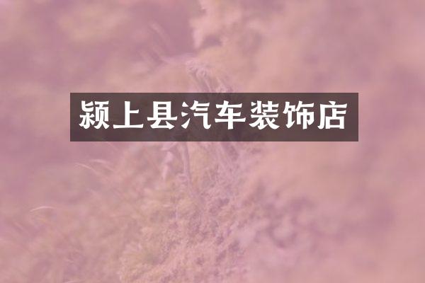 颍上县汽车装饰店