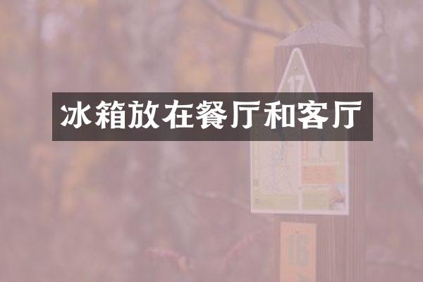 冰箱放在餐厅和客厅