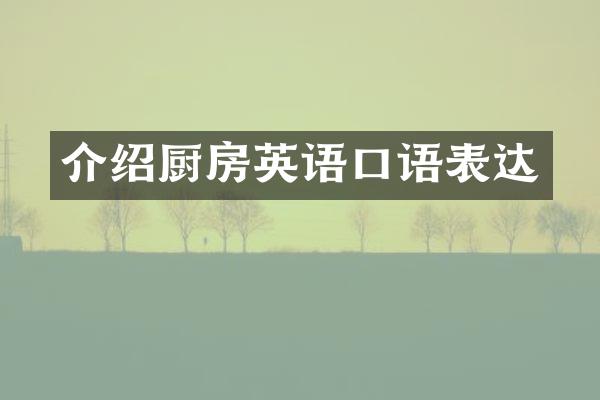 介绍厨房英语口语表达