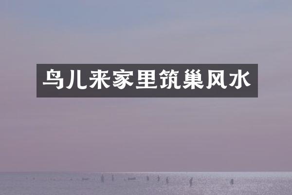 鸟儿来家里筑巢风水