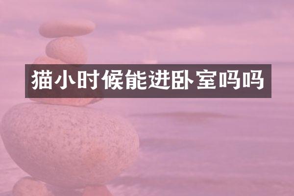 猫小时候能进卧室吗吗