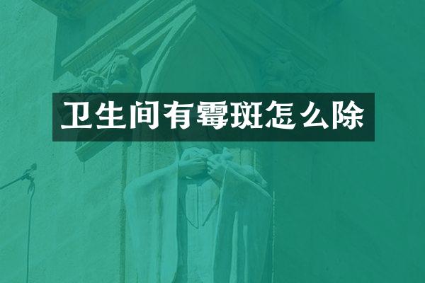 卫生间有霉斑怎么除