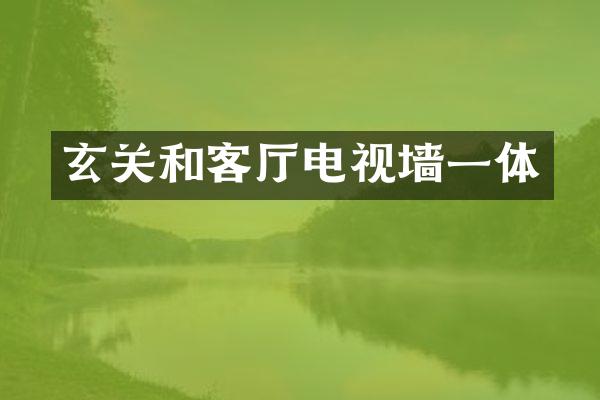 玄关和客厅电视墙一体
