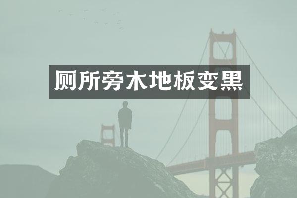 厕所旁木地板变黑