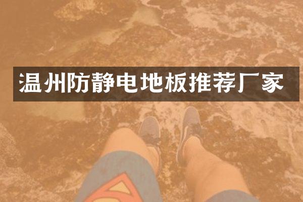温州防静电地板推荐厂家