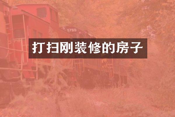 打扫刚装修的房子