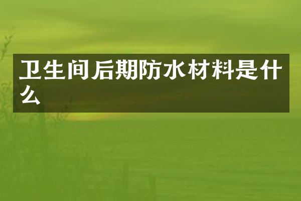 卫生间后期防水材料是什么