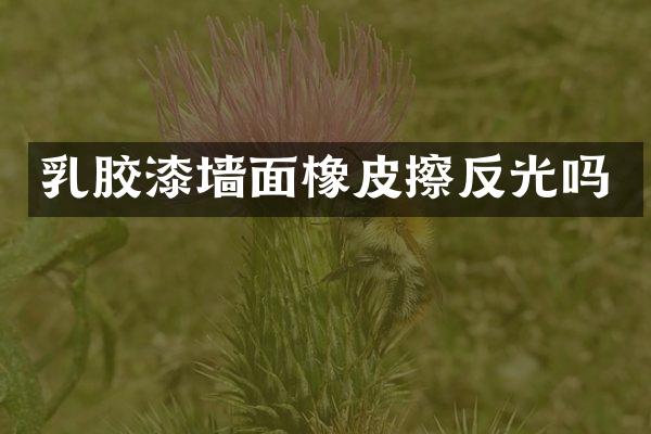 乳胶漆墙面橡皮擦反光吗
