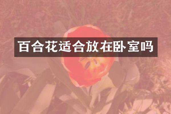 百合花适合放在卧室吗