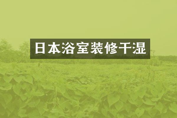日本浴室装修干湿