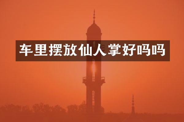 车里摆放仙人掌好吗吗