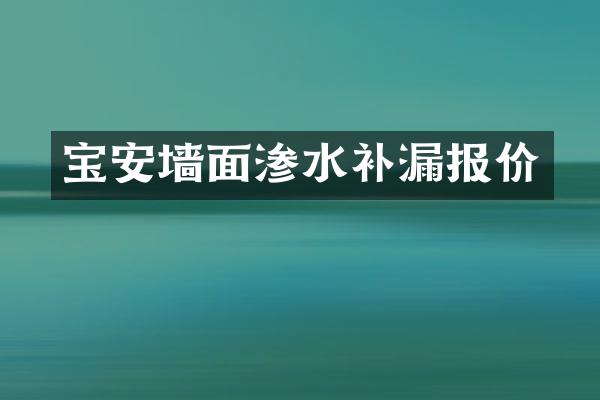 宝安墙面渗水补漏报价