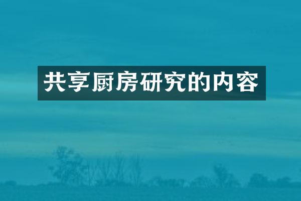 共享厨房研究的内容