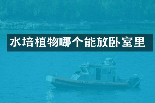 水培植物哪个能放卧室里