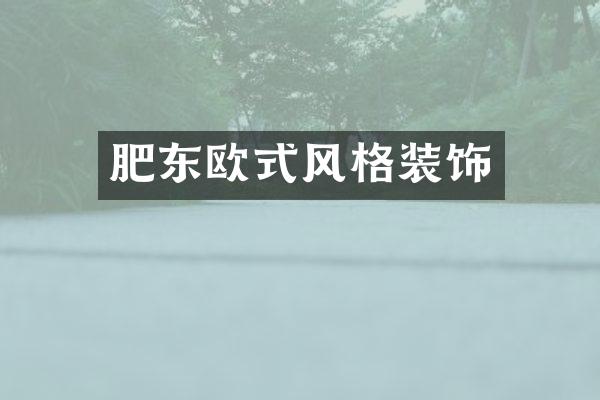 肥东欧式风格装饰