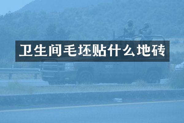 卫生间毛坯贴什么地砖