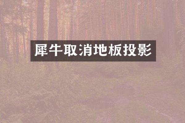 犀牛取消地板投影