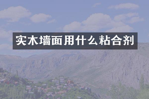 实木墙面用什么粘合剂