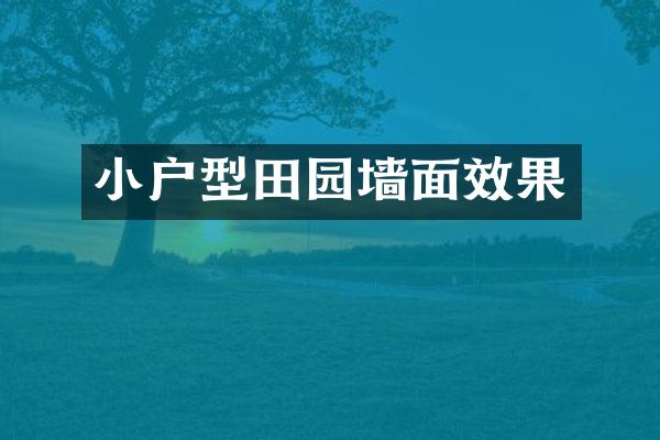 小户型田园墙面效果