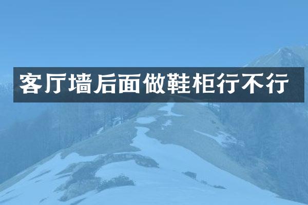 客厅墙后面做鞋柜行不行