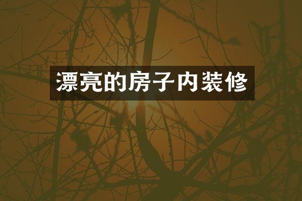漂亮的房子内装修