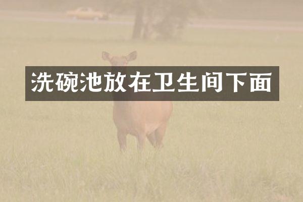洗碗池放在卫生间下面