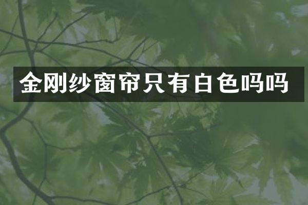 金刚纱窗帘只有白色吗吗