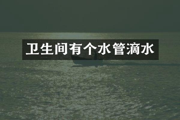 卫生间有个水管滴水